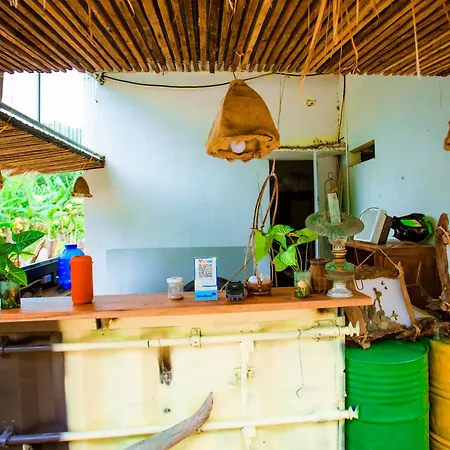 Phong Nha A Little Leaf Homestay Exterior photo