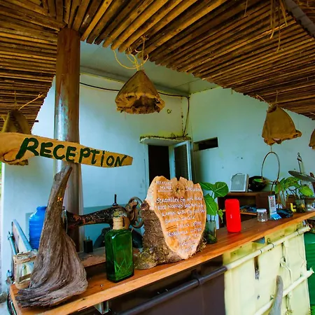 Phong Nha A Little Leaf Homestay Exterior photo