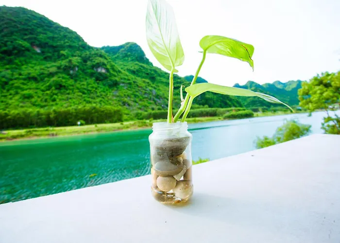 Phong Nha A Little Leaf Homestay