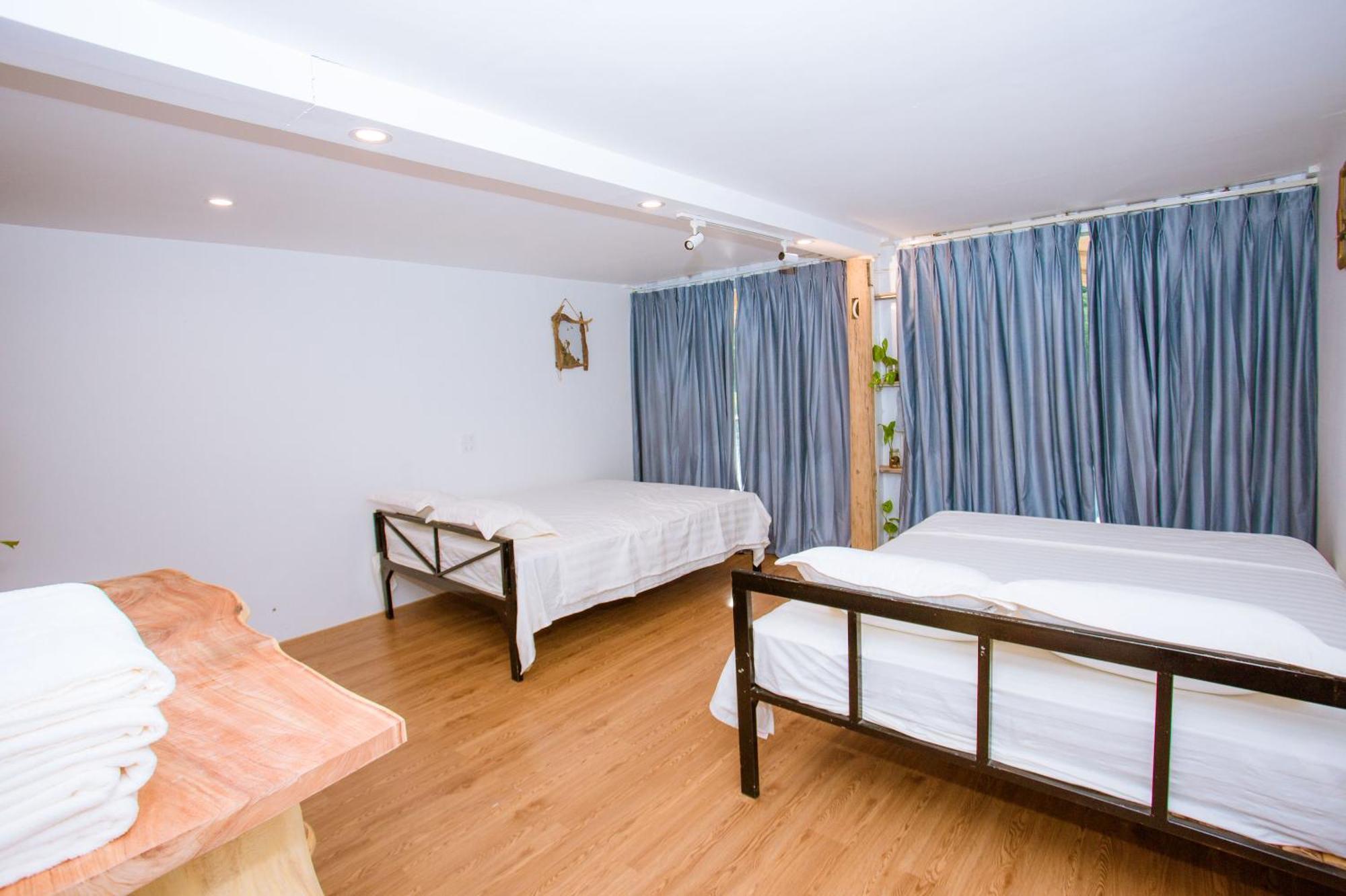 Homestay A Little Leaf Phong Nha