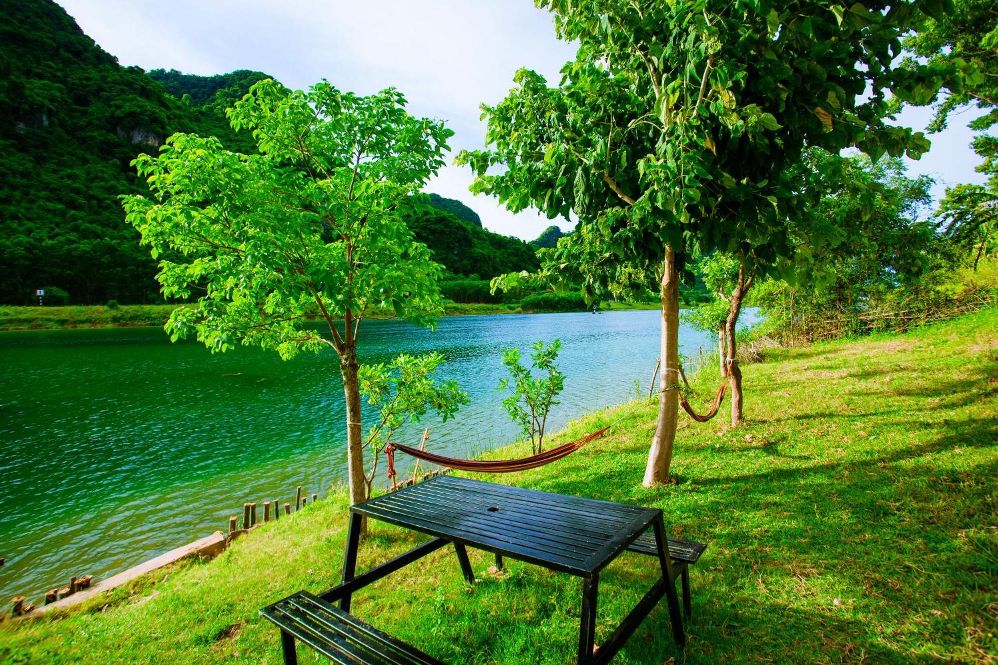 A Little Leaf Phong Nha