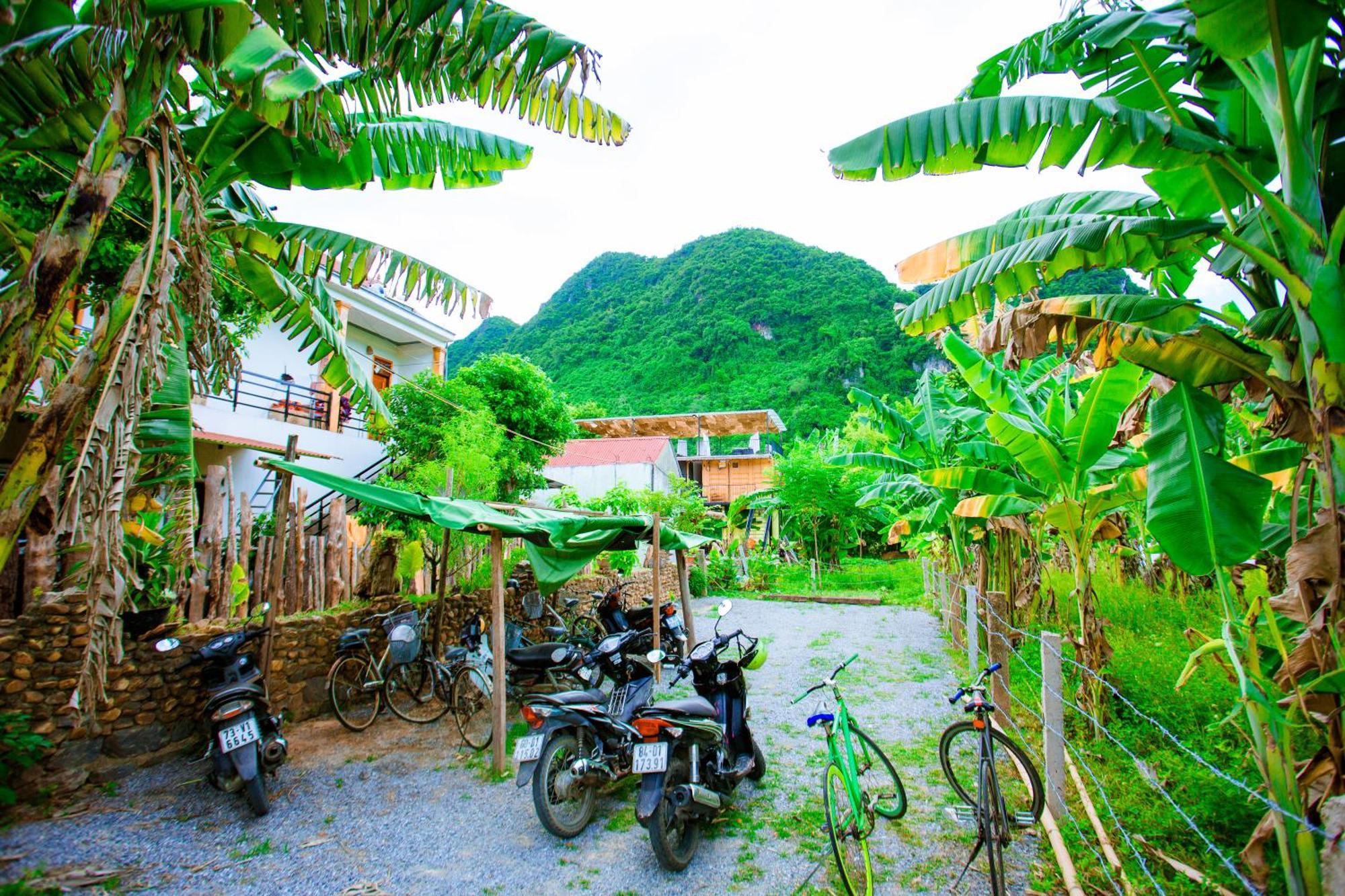 A Little Leaf Phong Nha