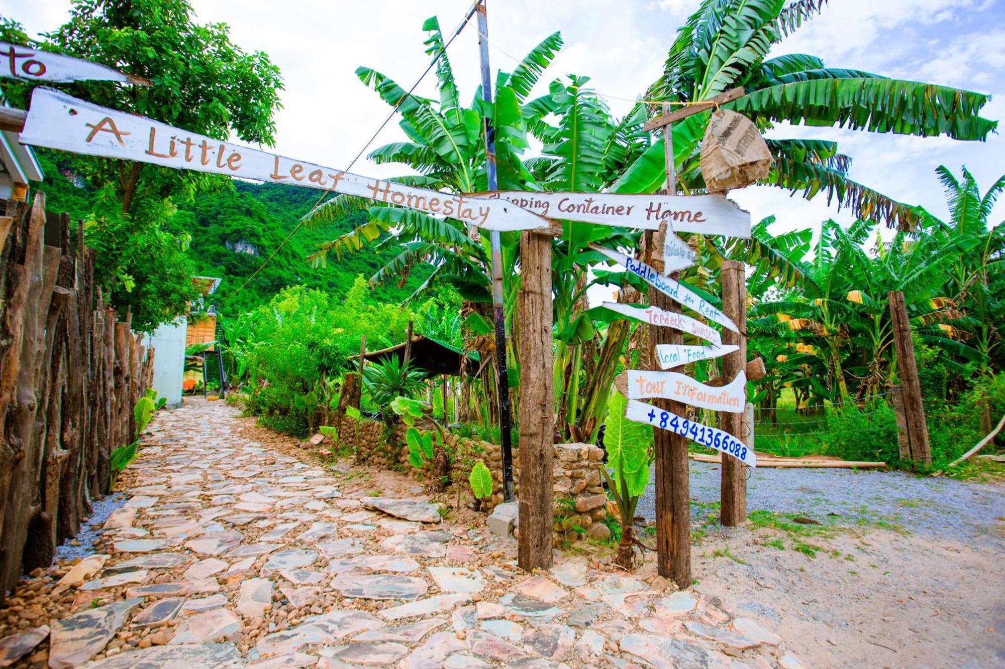 A Little Leaf Phong Nha