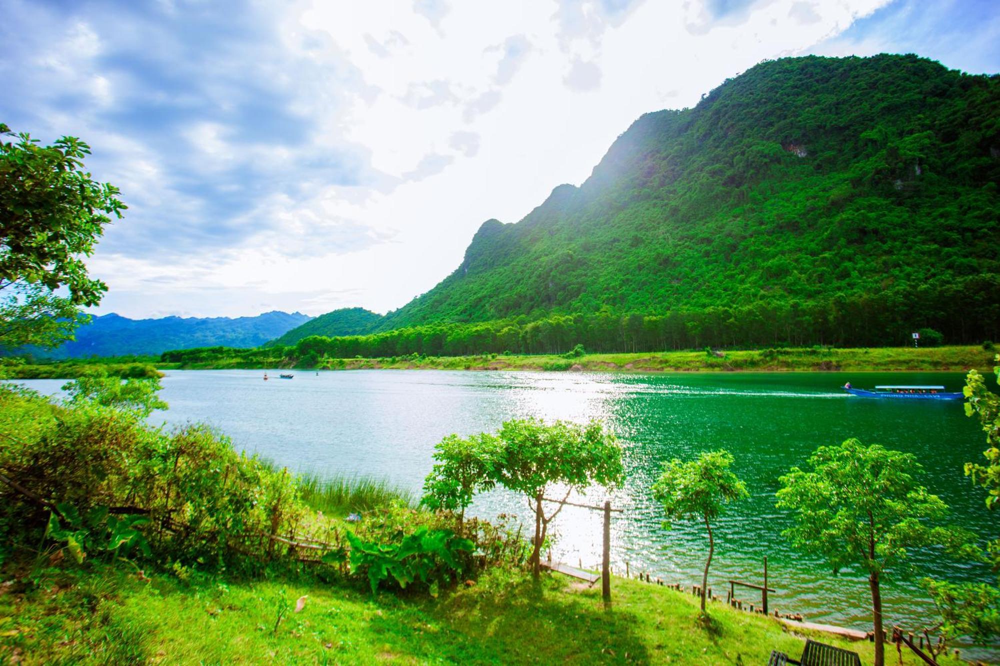 A Little Leaf Phong Nha